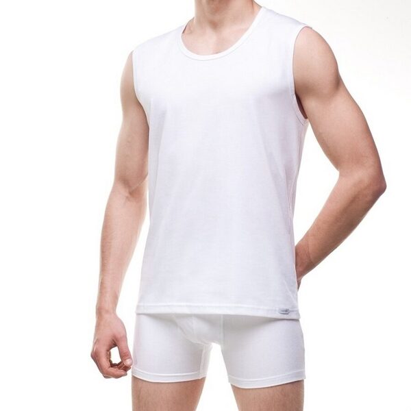Vīriešu T-krekls CORNETTE Authentic 206, balts